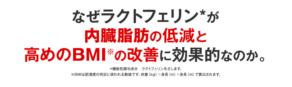 なぜラクトフェリンが内臓脂肪の低減と高めのBMIの改善に役立つのか
