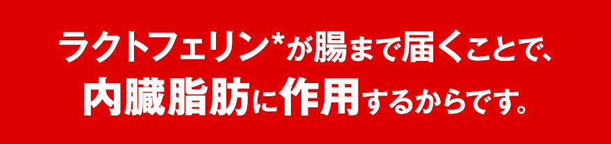 ラクトフェリンが腸まで届くことで、内臓脂肪に作用するからです