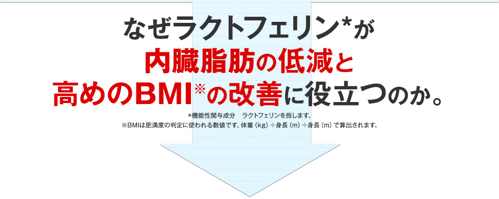 なぜラクトフェリンが内臓脂肪の低減と高めのBMIの改善に役立つのか