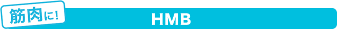 筋肉にHMB