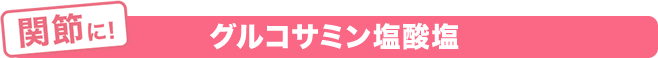 関節にグルコサミン塩酸塩