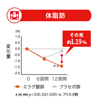 体脂肪の変化量