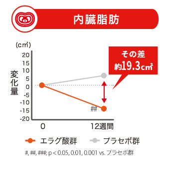内臓脂肪の変化量