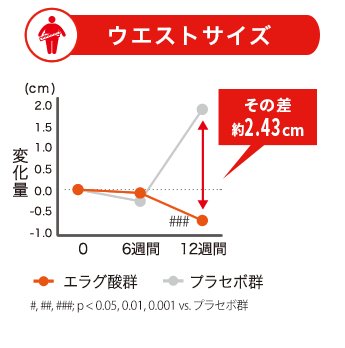 ウエストサイズの変化量