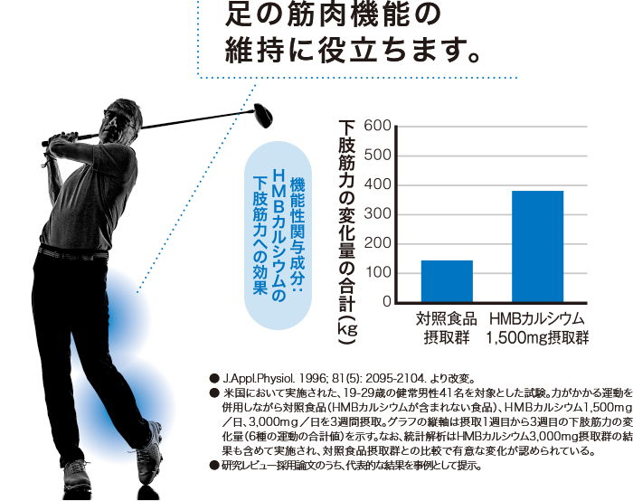 足の筋肉機能の維持に役立ちます。