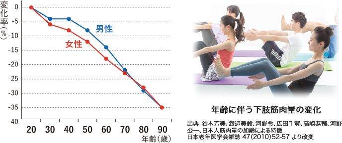 年齢に伴う下肢筋力量の変化