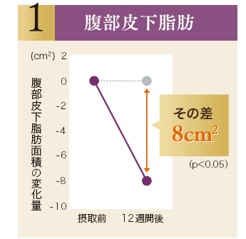 腹部皮下脂肪