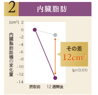 内臓脂肪