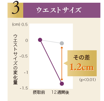 ウエストサイズ