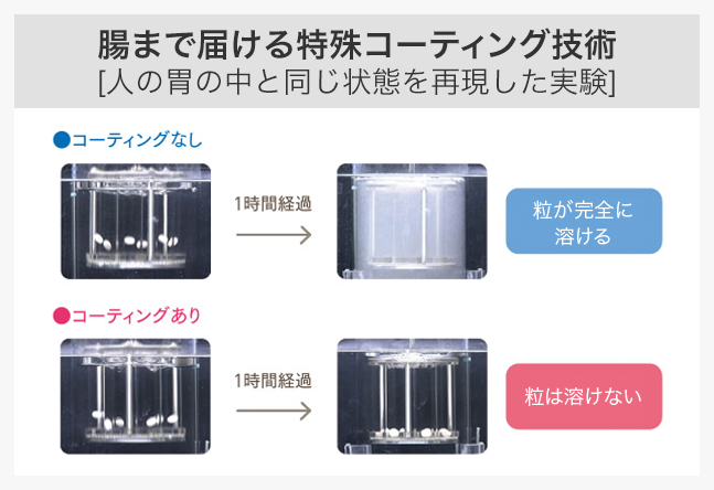 人の「胃の中」と同じ状態を再現した実験