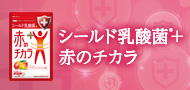 シールド乳酸菌