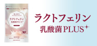 ラクトフェリン乳酸菌PLUS