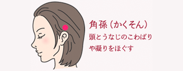 ふんわり髪サポート ライオン公式通販サイト ライオン ウェルネスダイレクト ふんわり髪サポート ライオン公式通販サイト ライオン ウェルネスダイレクト