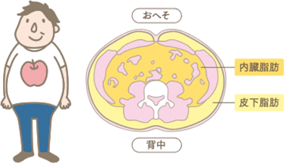 内臓脂肪とは ライオン公式通販サイト ライオン ウェルネスダイレクト