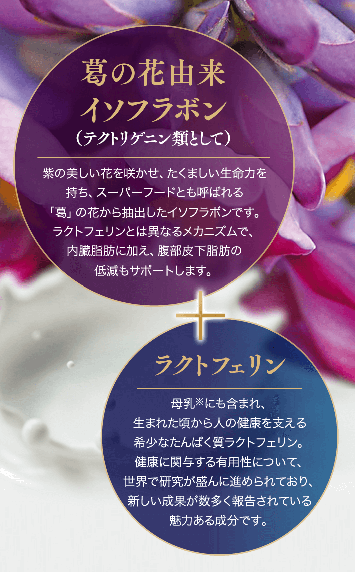 ラクトフェリン葛の花プレミアム