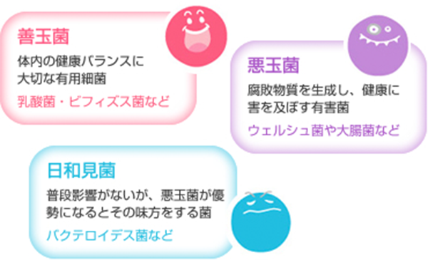 ライオンの ラクトフェリン ラブレ ライオン ウェルネスダイレクト